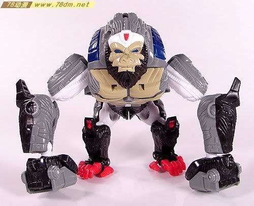 变形金刚超能勇士10周年系列玩具 optimus primal 黑猩猩金属变体