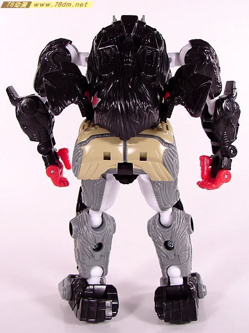 变形金刚超能勇士10周年系列玩具 Optimus Primal 黑猩猩金属变体