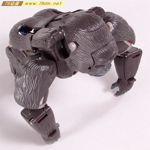 变形金刚超能勇士10周年系列玩具 Optimus Primal 黑猩猩日版
