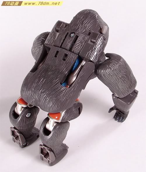 变形金刚超能勇士10周年系列玩具 Optimus Primal 黑猩猩日版