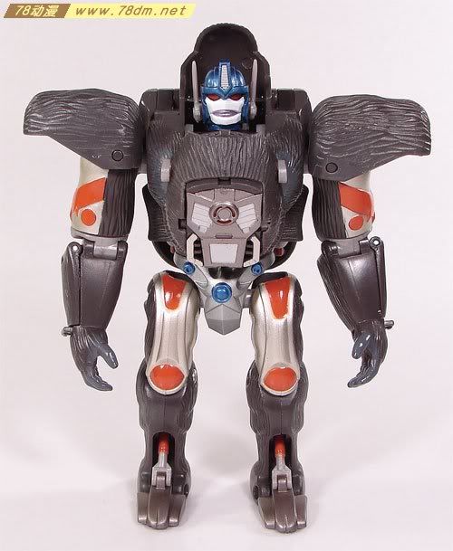 变形金刚超能勇士10周年系列玩具 Optimus Primal 黑猩猩日版