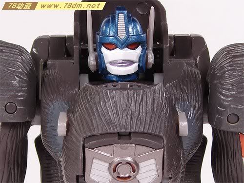 变形金刚超能勇士10周年系列玩具 Optimus Primal 黑猩猩日版
