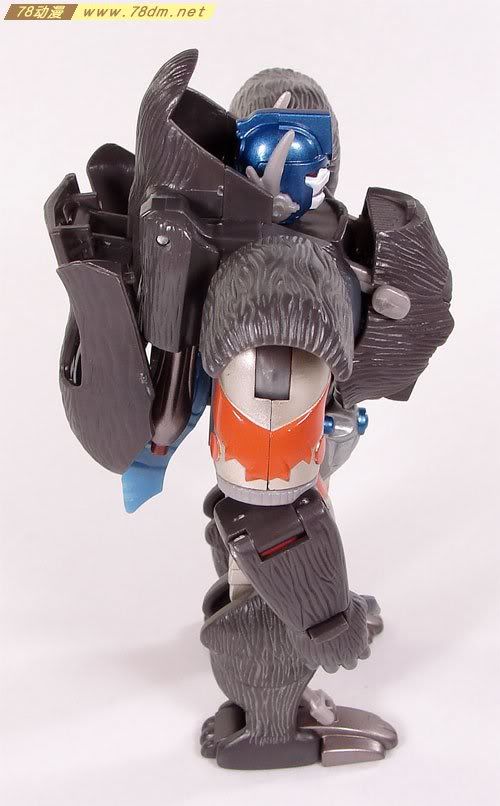 变形金刚超能勇士10周年系列玩具 Optimus Primal 黑猩猩日版
