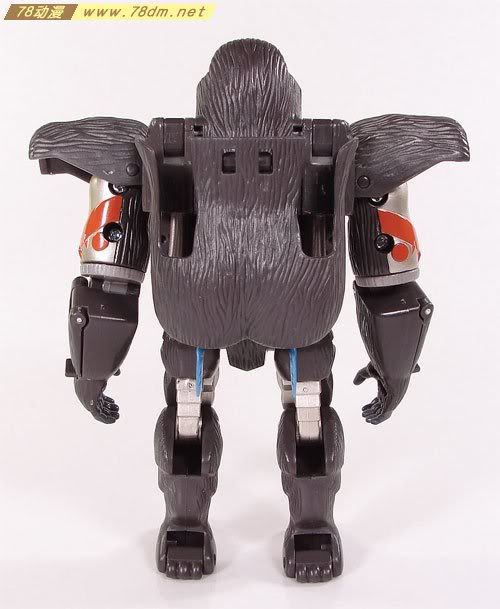 变形金刚超能勇士10周年系列玩具 Optimus Primal 黑猩猩日版
