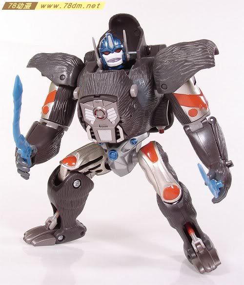 变形金刚超能勇士10周年系列玩具 optimus primal 黑猩猩日版