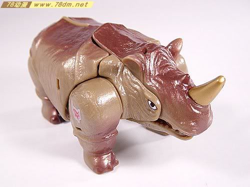 变形金刚超能勇士10周年系列玩具 RIHNOX 犀牛