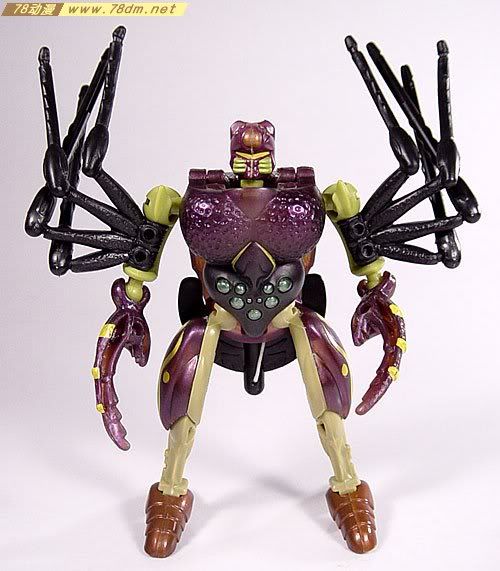 变形金刚超能勇士10周年系列玩具 TARANTULAS狼蛛