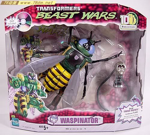 变形金刚超能勇士10周年系列玩具 Waspinator 黄蜂