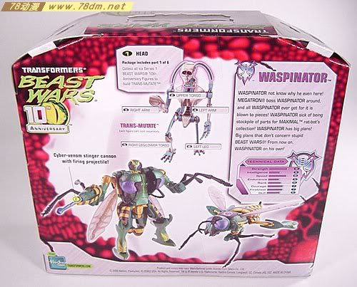 变形金刚超能勇士10周年系列玩具 Waspinator 黄蜂