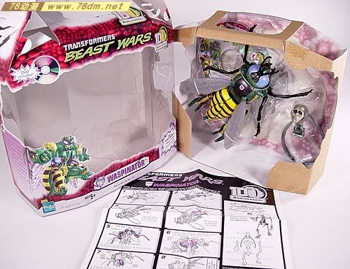 变形金刚超能勇士10周年系列玩具 Waspinator 黄蜂