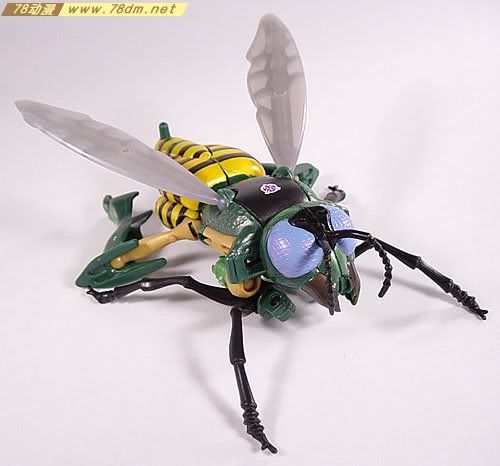 变形金刚超能勇士10周年系列玩具 Waspinator 黄蜂