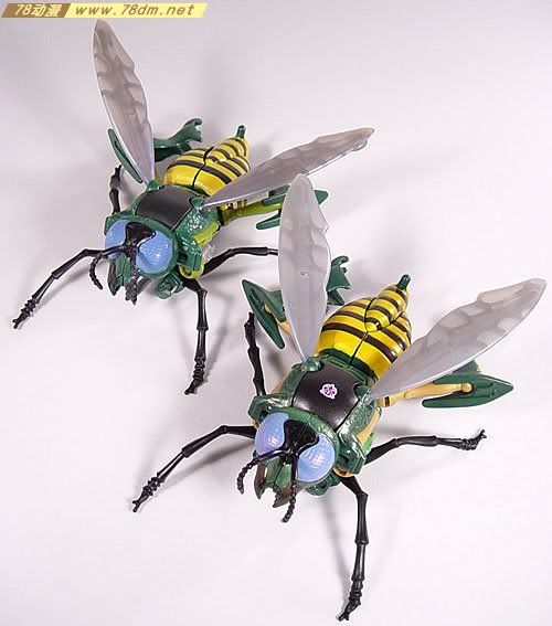变形金刚超能勇士10周年系列玩具 Waspinator 黄蜂