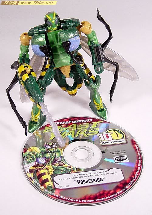 变形金刚超能勇士10周年系列玩具 Waspinator 黄蜂