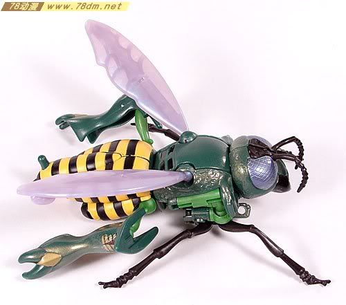 变形金刚超能勇士10周年系列玩具 Waspinator 黄蜂日版