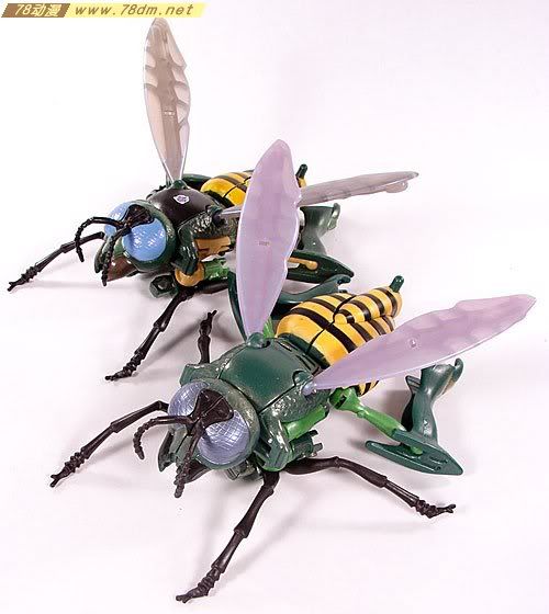 变形金刚超能勇士10周年系列玩具 Waspinator 黄蜂日版