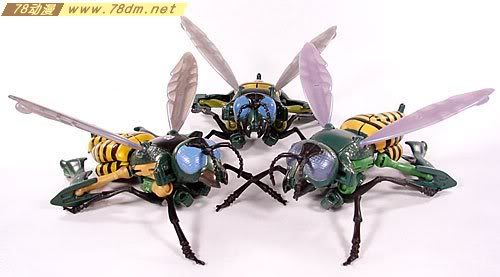 变形金刚超能勇士10周年系列玩具 Waspinator 黄蜂日版