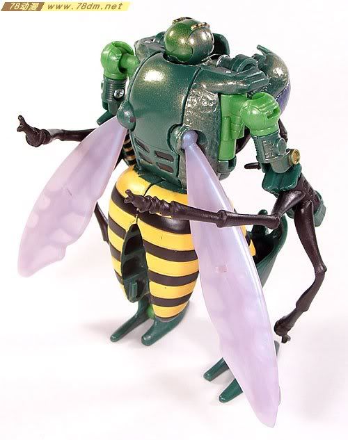 变形金刚超能勇士10周年系列玩具 Waspinator 黄蜂日版