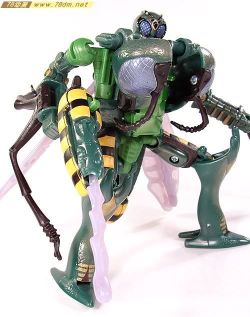 变形金刚超能勇士10周年系列玩具 Waspinator 黄蜂日版