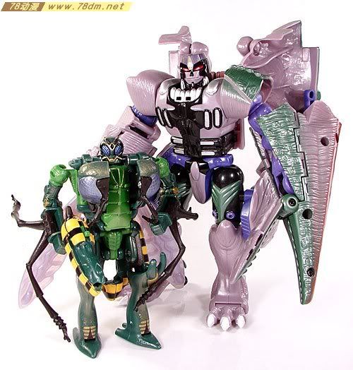 变形金刚超能勇士10周年系列玩具 Waspinator 黄蜂日版