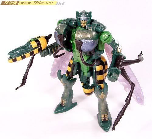变形金刚超能勇士10周年系列玩具 Waspinator 黄蜂日版