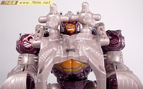 变形金刚超能勇士Metals系列玩具 OPTIMUS PRIMAL 黑猩猩