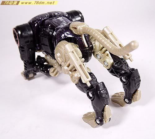 变形金刚超能勇士Metals系列玩具 RAVAGE机器狗