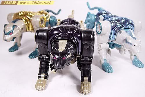 变形金刚超能勇士Metals系列玩具 RAVAGE机器狗