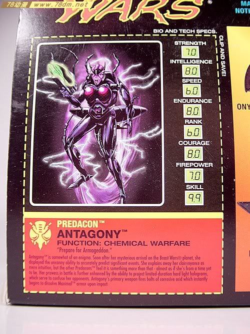 变形金刚Convention & Club Exclusives系列玩具 Antagony