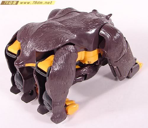 变形金刚Convention & Club Exclusives系列玩具 Grizzly-1