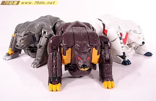 变形金刚Convention & Club Exclusives系列玩具 Grizzly-1