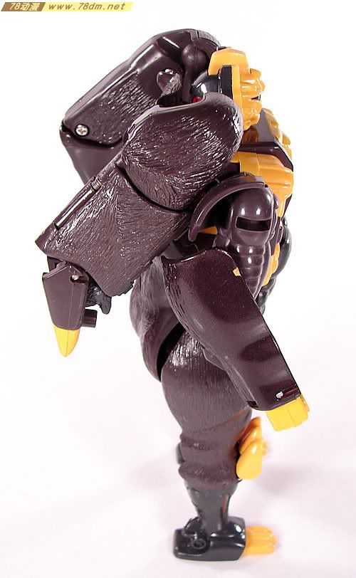 变形金刚Convention & Club Exclusives系列玩具 Grizzly-1