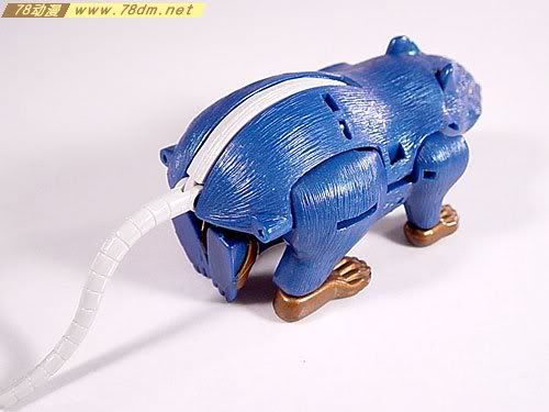 变形金刚Convention & Club Exclusives系列玩具 Packrat