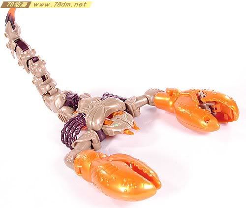 变形金刚Convention & Club Exclusives系列玩具 Sandstorm