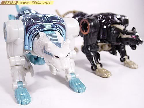 变形金刚Convention & Club Exclusives系列玩具 Tigatron 白虎