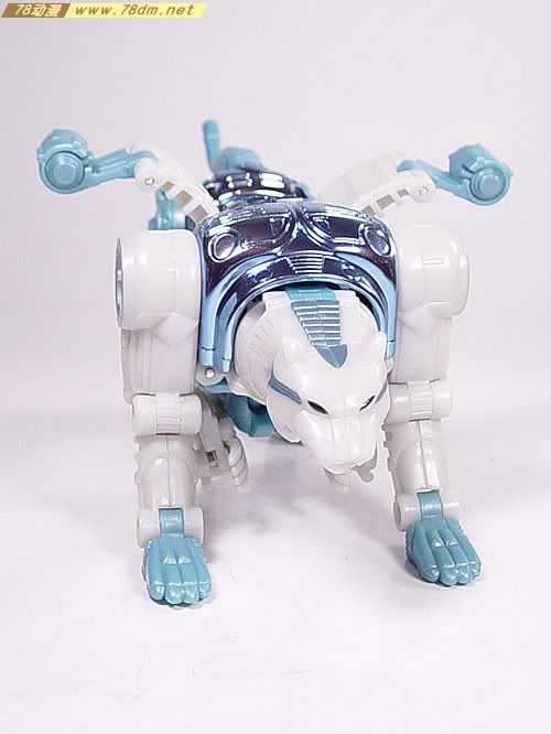 变形金刚Convention & Club Exclusives系列玩具 Tigatron 白虎