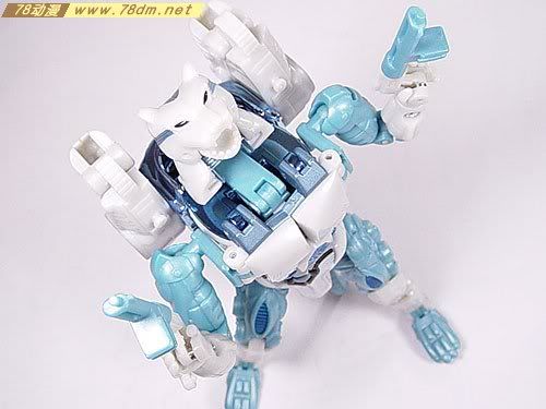 变形金刚Convention & Club Exclusives系列玩具 Tigatron 白虎