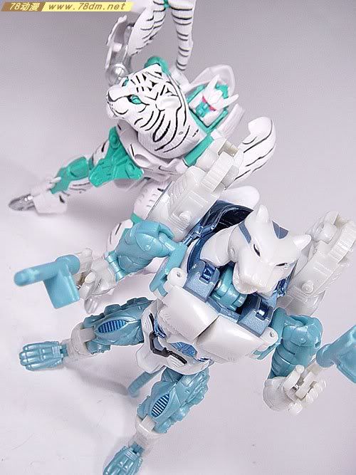 变形金刚Convention & Club Exclusives系列玩具 Tigatron 白虎