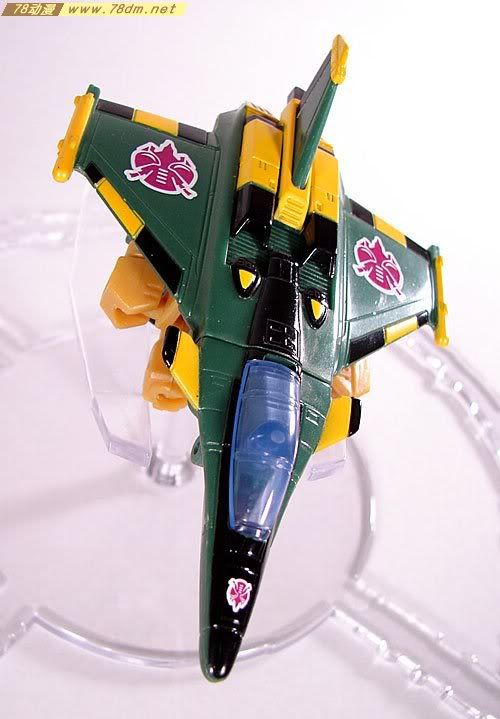 变形金刚Convention & Club Exclusives系列玩具 Waspinator 黄蜂