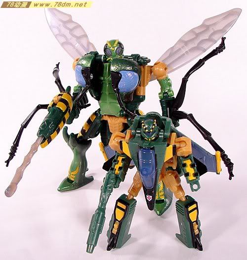 变形金刚Convention & Club Exclusives系列玩具 Waspinator 黄蜂