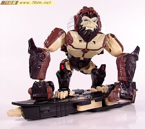 变形金刚塞博特恩传奇系列玩具 Optimus Prime 擎天柱
