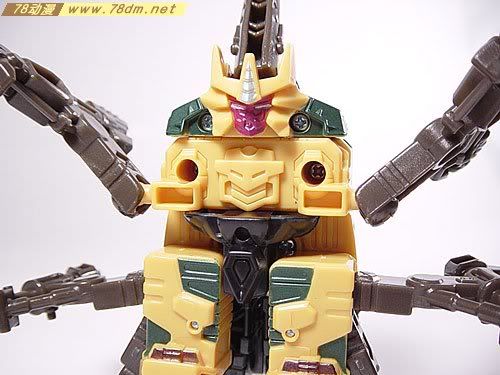 变形金刚Energon超能量争夺战玩具 Insecticon 金甲虫