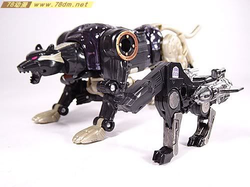 变形金刚G1玩具 Ravage机器狗