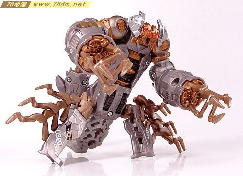 变形金刚真人版电影玩具 Deluxe 加强级  Scorponok 毒蝎(萨克巨人)