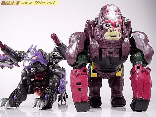 变形金刚Universe系列玩具 OPTIMUS PRIMAL 黑猩猩