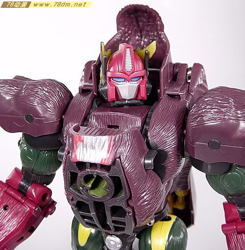 变形金刚Universe系列玩具 OPTIMUS PRIMAL 黑猩猩