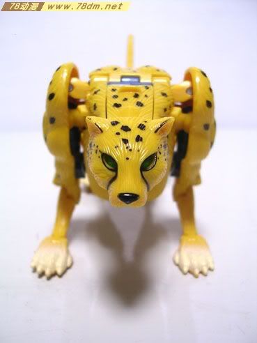 变形金刚Universe2.0 经典系列2.0 玩具 CHEETOR黄豹