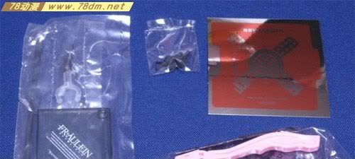 海洋堂 转轮科技 美少女系列 凌波丽（綾波レイ）初回限定特別价格版带先着特典