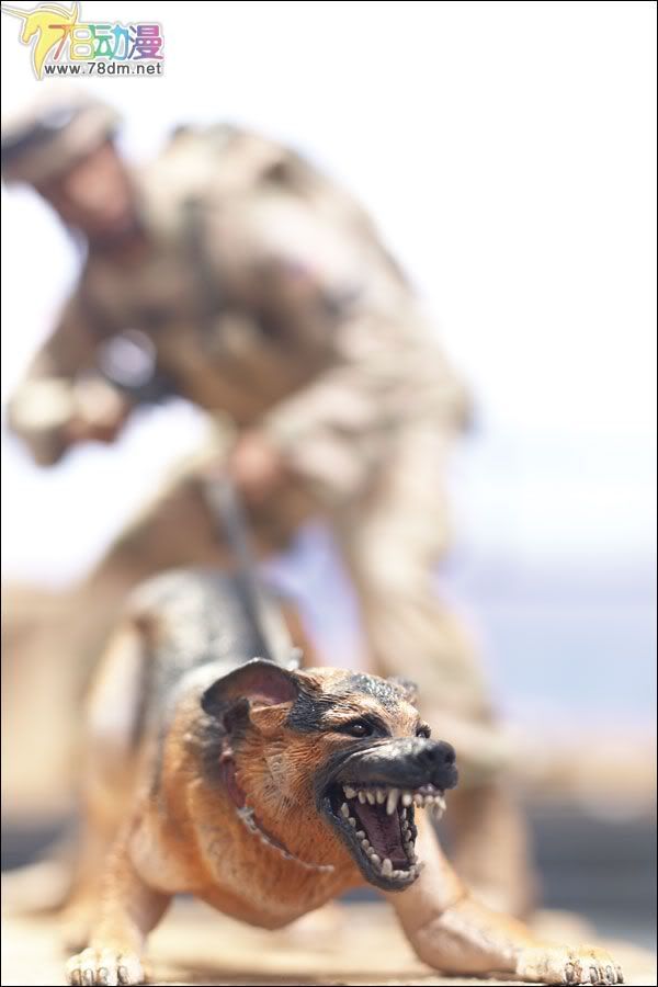 麦克法兰系列玩具 兵人系列 麦克法兰兵人 第三代 AIR FORCE SECURITY FORCES K-9 HANDLER  空军安全部队K-9操作员