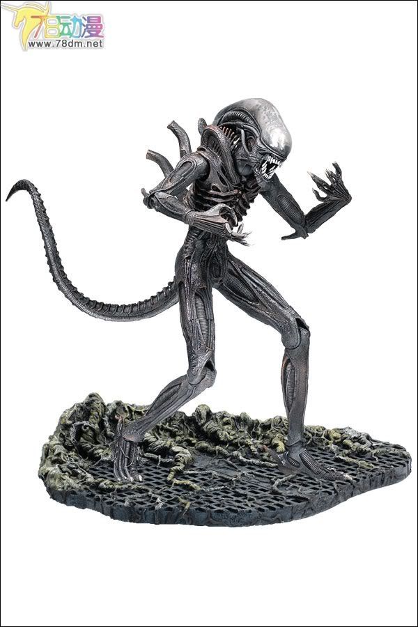 麦克法兰系列玩具 电影系列 异形和铁血战士 12-INCH ALIEN 12寸异形 