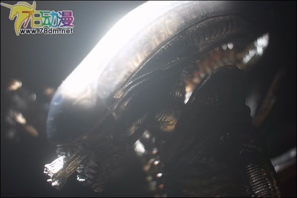 麦克法兰系列玩具 电影系列 异形和铁血战士 ALIEN 异形
